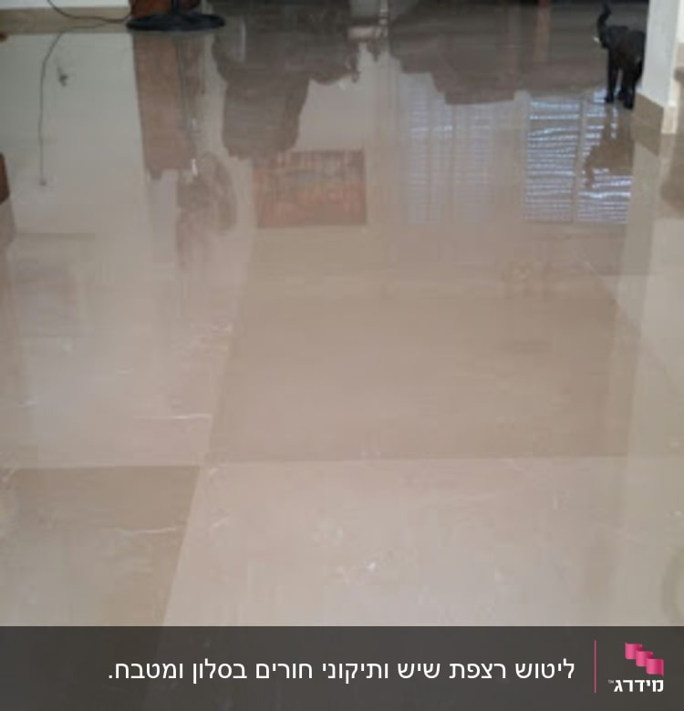 רצפה מבריקה ונקייה בסלון עם רהיטים ברקע